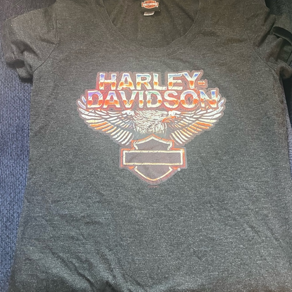 Harley-Davidson Charcoal Tee with Vibrant Logo